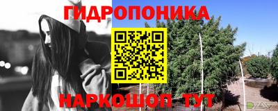 амф Шебекино