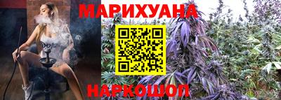 прущие крисы Шелехов