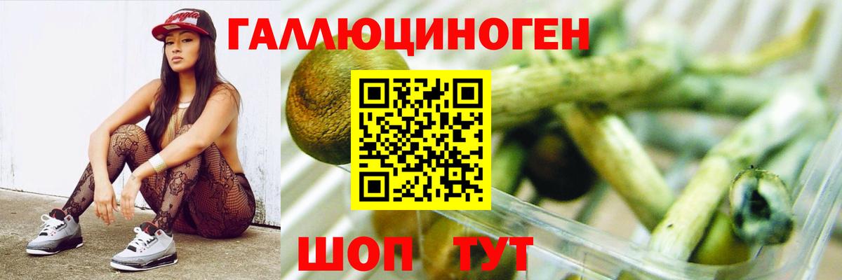 Галлюциногенные грибы мицелий  Галлюциногенные грибы GOLDEN TEACHER  Вход с VPN  Зерноград 