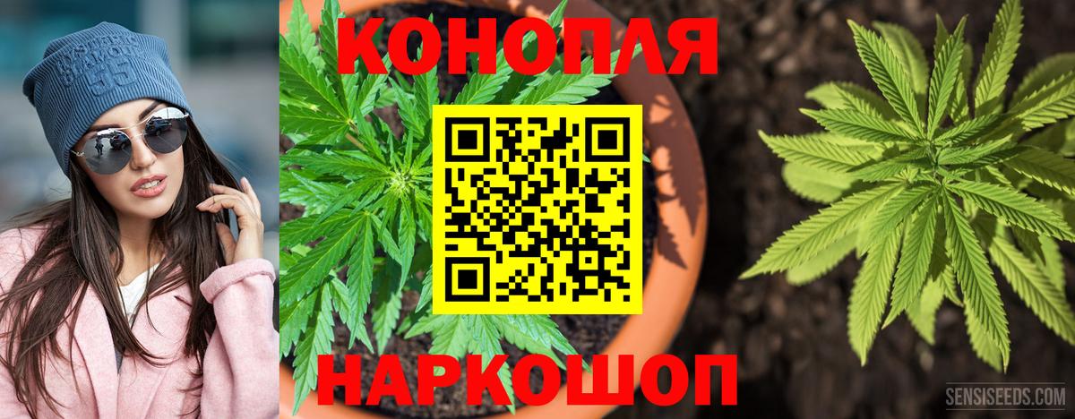 Каннабис LSD WEED  Каннабис ГИДРОПОН  Бошки марихуана SATIVA & INDICA  Зерноград  Шишки марихуана план  Вход с VPN 